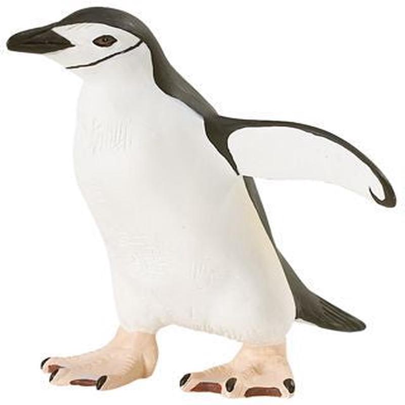 CHINSTRAP PENGUIN