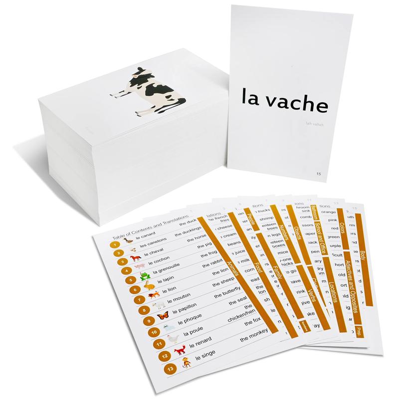 192 French Beginning Vocabulary Flash Cards With Original Artwork - For All Ages