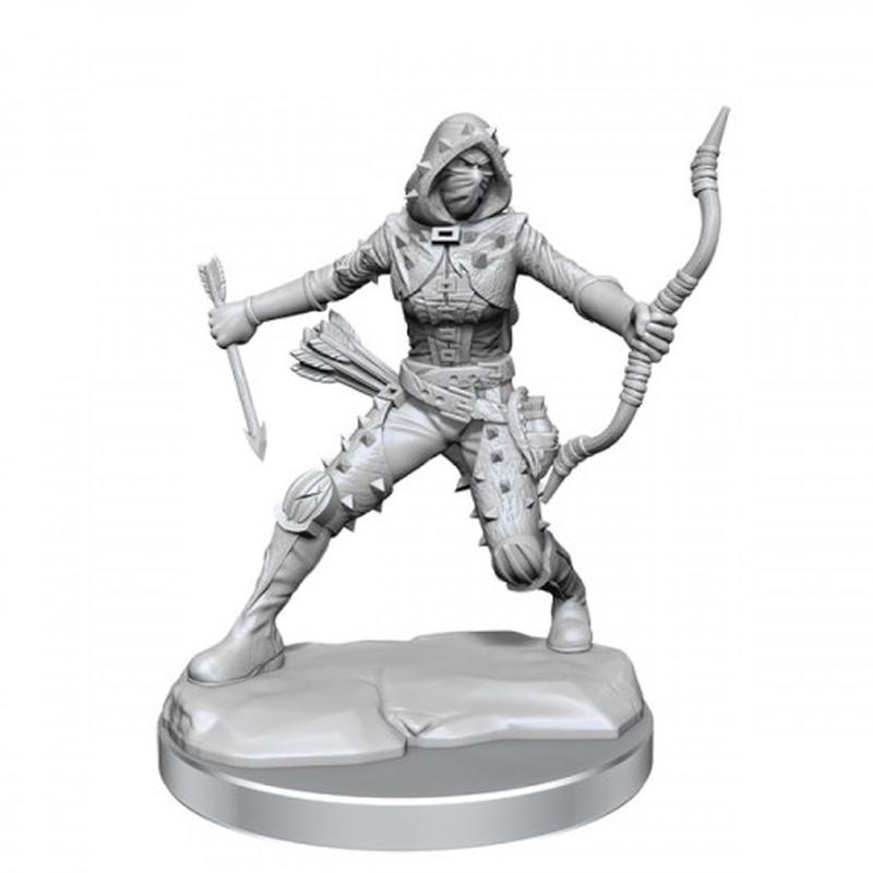 D&D Frameworks: Human Rogue Female