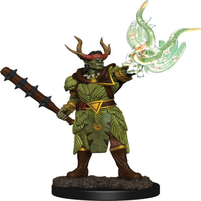 Pathfinder Battles: Pathfinder Battles: Half-Orc Druild Male