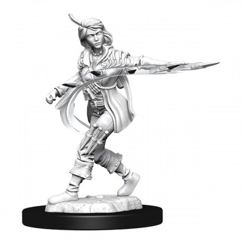 Human Rogue Female