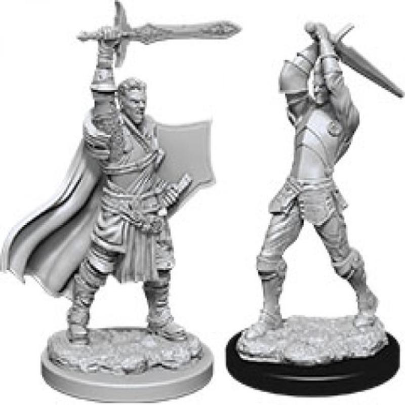 Male Human Paladin